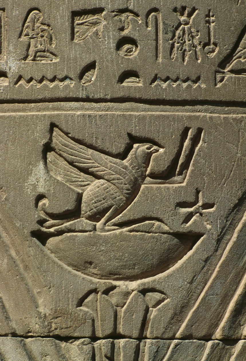 Detalj av en relief, hieroglyfer kalksten av Egyptian