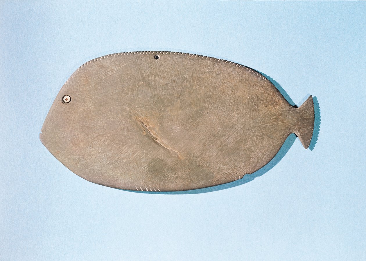 Palett i form av en fisk, pre-dynastisk period (5000-3100 f.Kr.) (skifer) av Egyptian