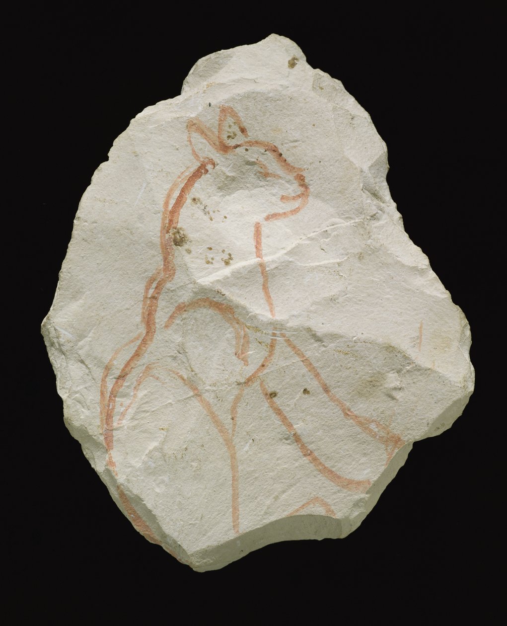 Ostracon föreställande en sittande katt, New Kingdom (kalkstensflinga) av Egyptian 19th Dynasty