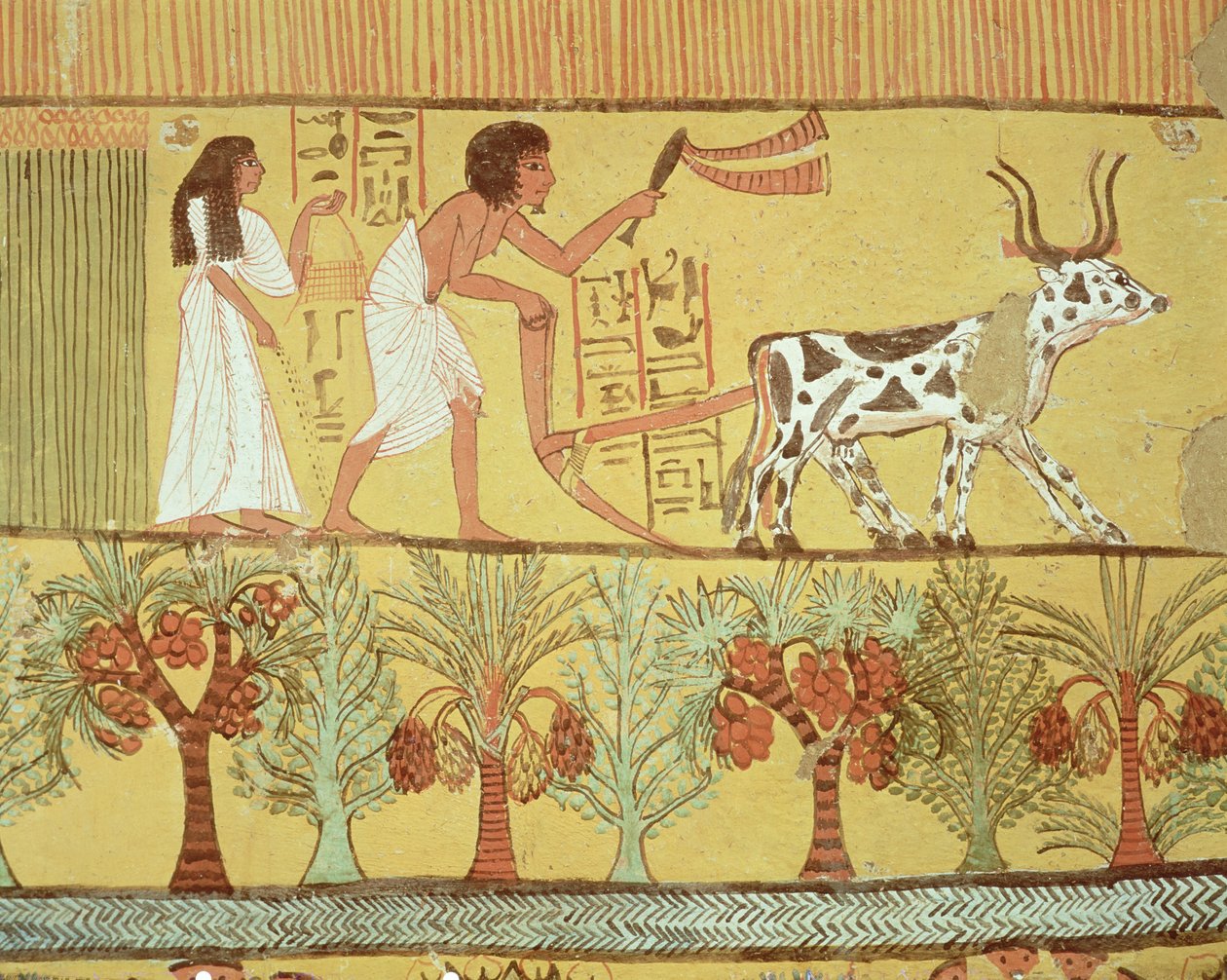 Sennedjem och hans fru på fälten sår och bearbetar, från Sennedjems grav, The Workers Village, New Kingdom (väggmålning) av Egyptian 19th Dynasty