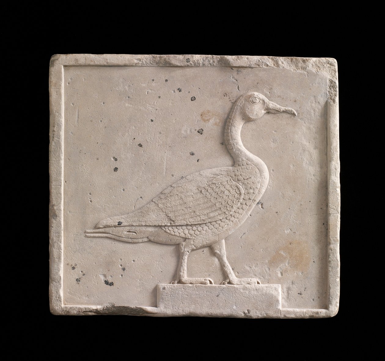 Plack föreställande en gås, 26:e dynasti eller saiterperiod, 664-525 f.Kr. eller senare kalksten av Egyptian 26th Dynasty