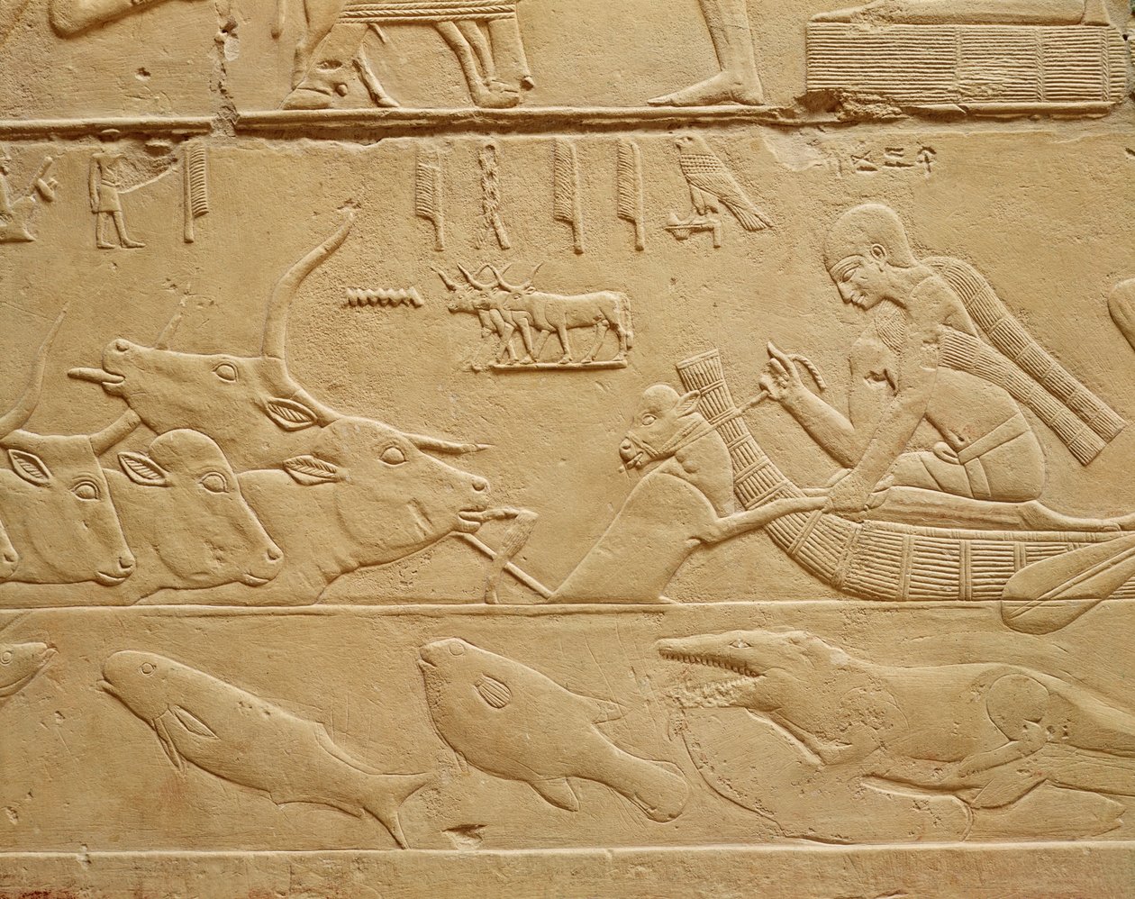 Boskap som korsar ett vadställe, från Mastaba av Kagemni-stenen av Egyptian 6th Dynasty
