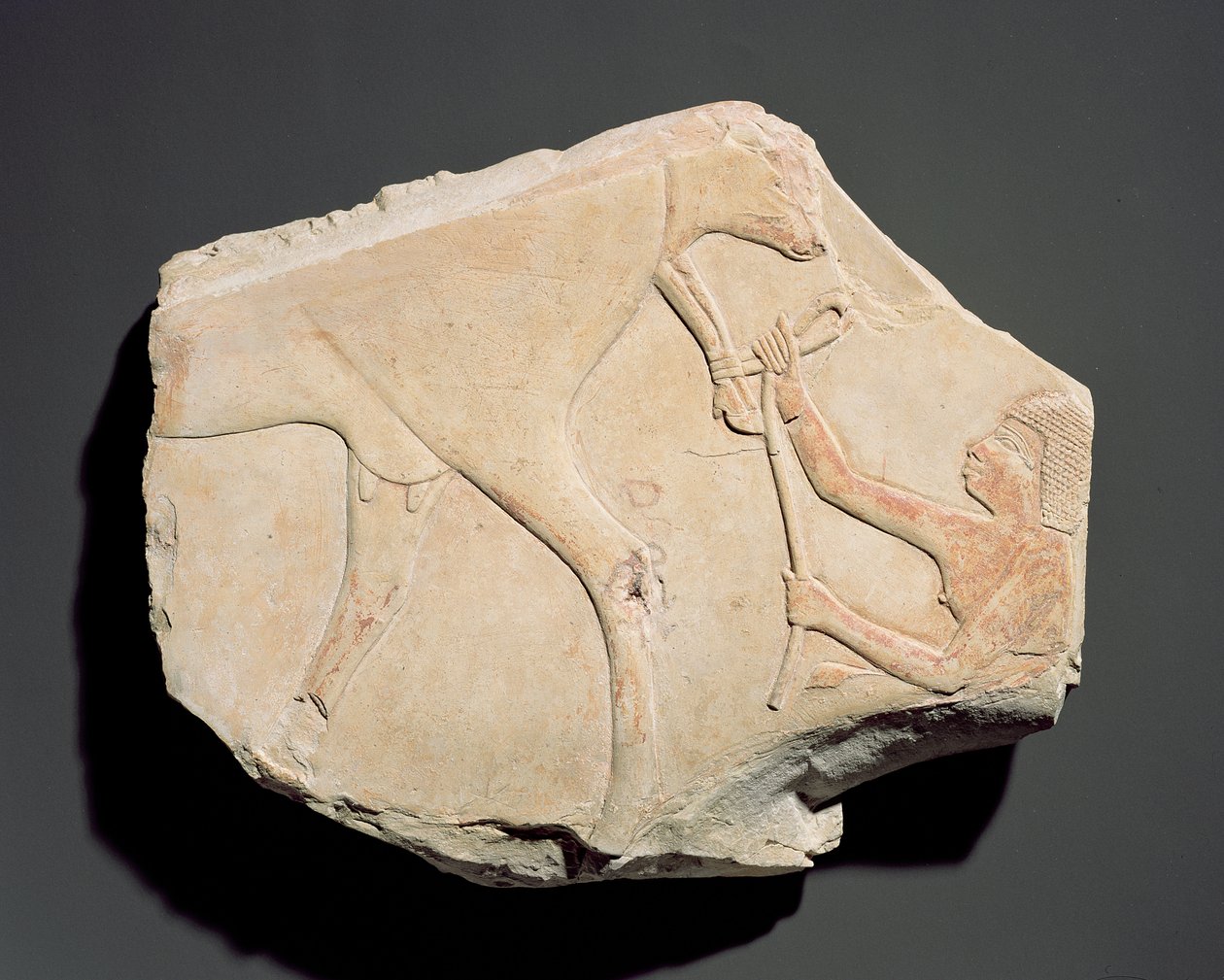 Fragment av en relief som visar födelsen av en kalv, från Asasif, Thebe, tredje mellanperioden (ca 1069-664 f.Kr.) (kalksten) av Egyptian