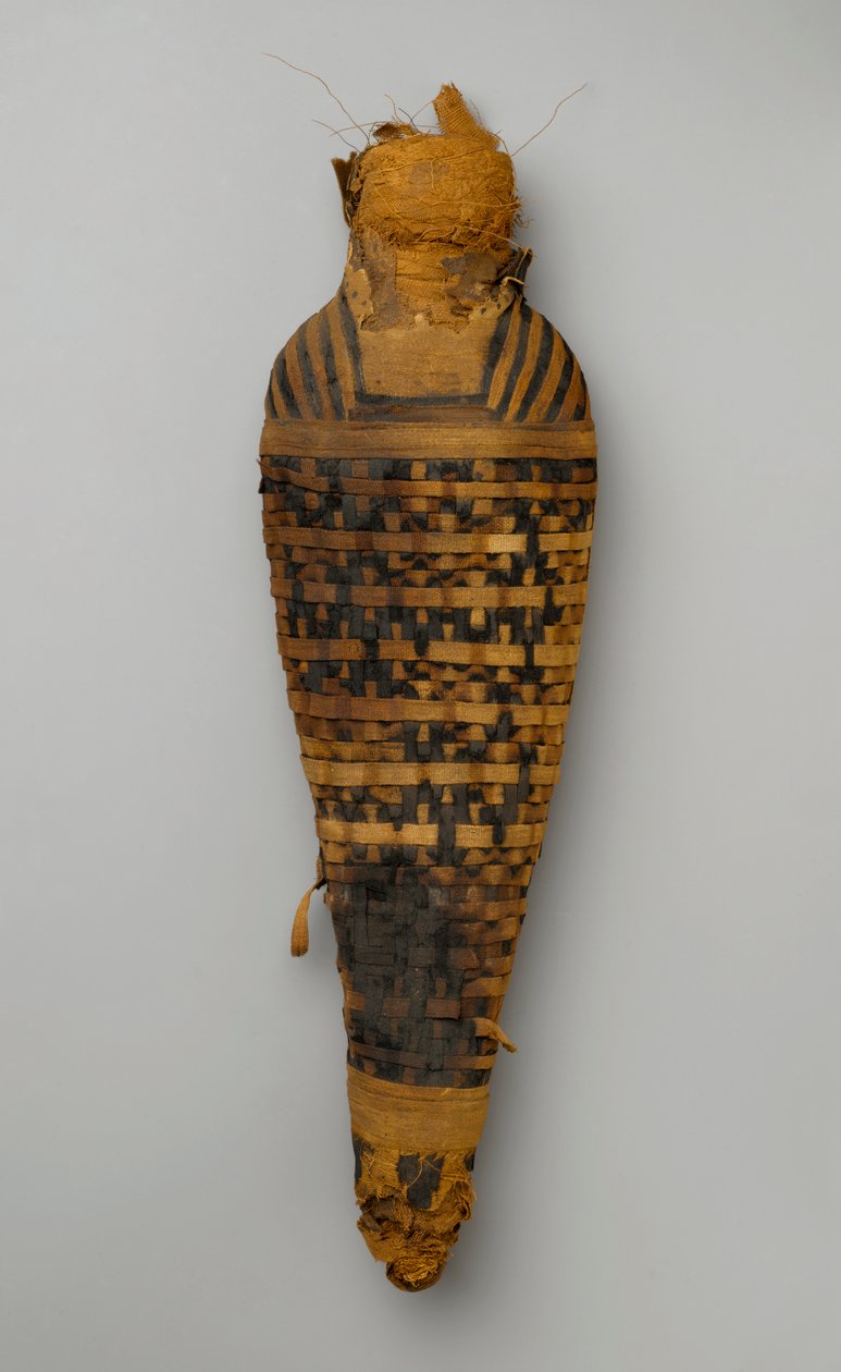 Mumie av en hök (djurrester och linne) av Egyptian