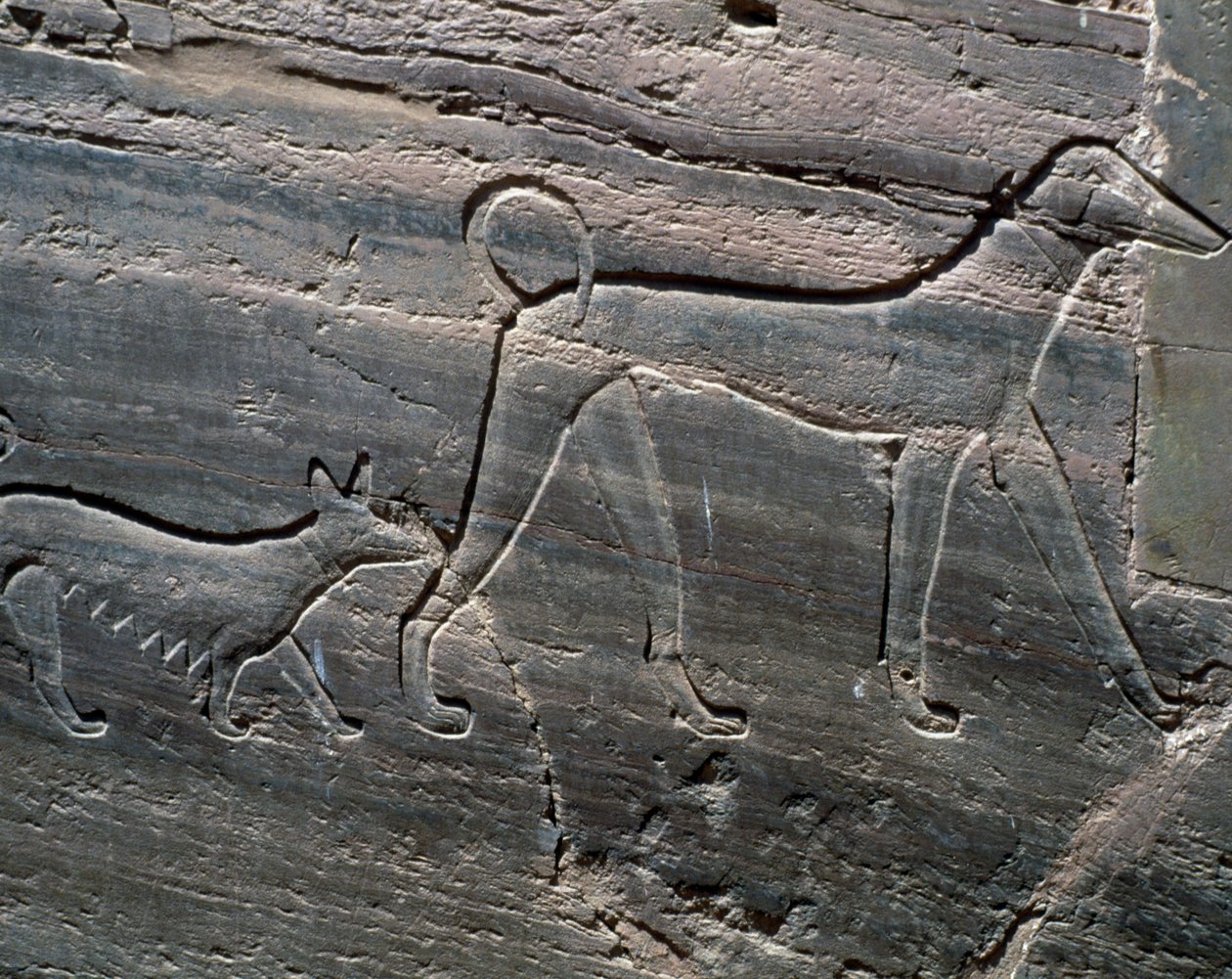 Ett par hundar, relief från ingången, Sarenput II:s grav, Prinsars gravar, Qubbet el-Hawa, Nilens västra strand vid Assuan, Egyptisk civilisation, Mellersta kungariket, Dynasti XII av Egyptian 12th Dynasty