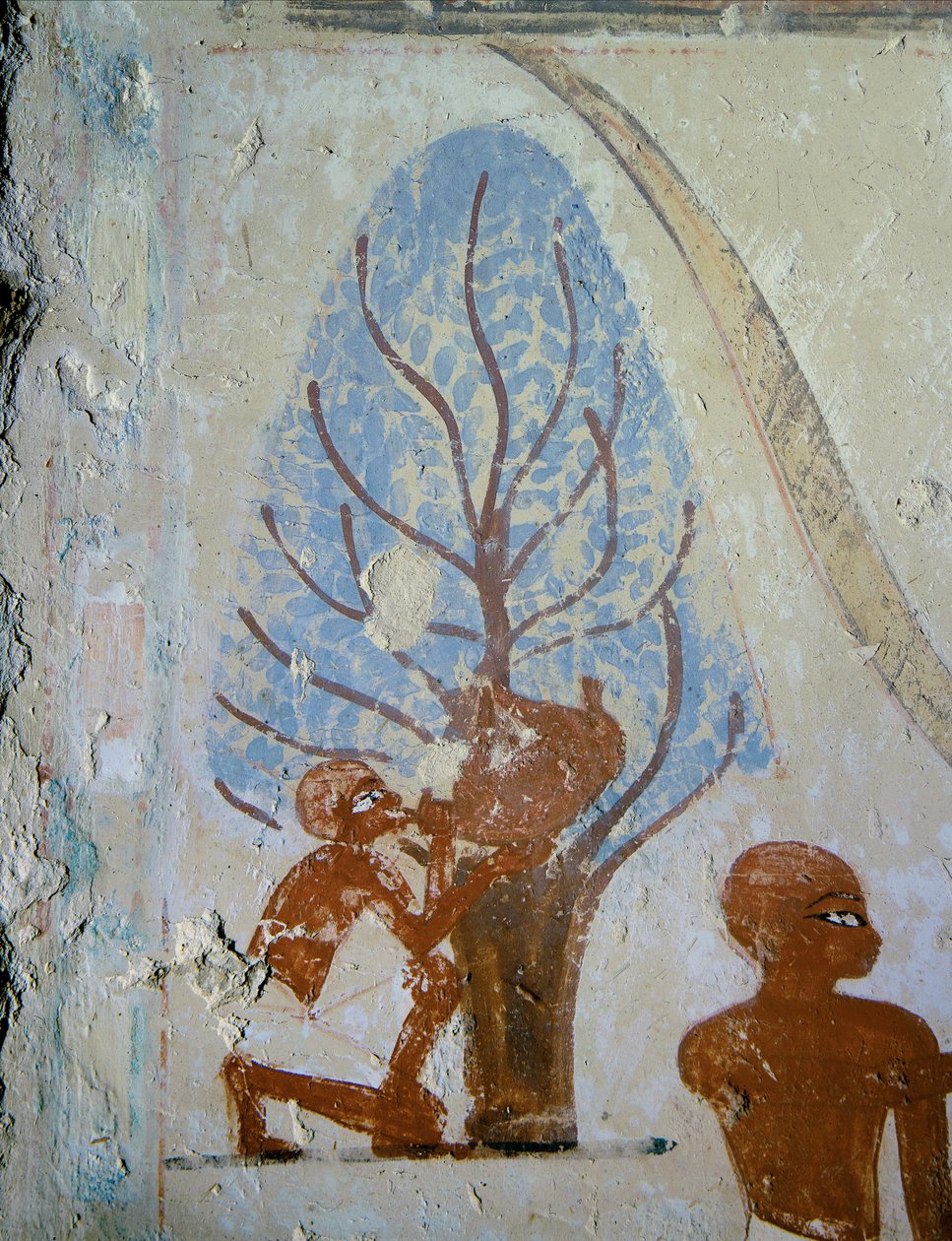 En bonde dricker ur ett vattenskrin ... av Egyptian 18th Dynasty