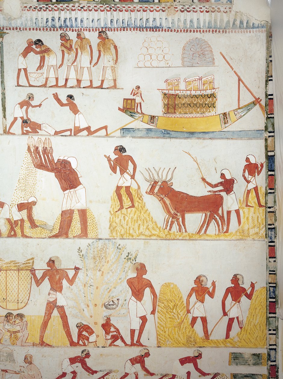 Båt och scener av skörd, insamling, transport och bearbetning av spannmål, fresk, sydflygel, tvärkammare, Theban Tomb TT69, Sheikh Abd el-Qurna, Thebe (Unescos världsarvslista av Egyptian 18th Dynasty