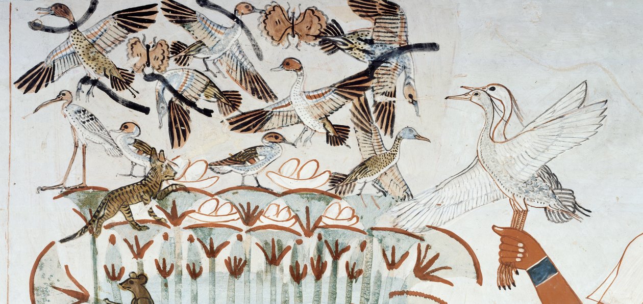 Ankor, bon, fjärilar, katter och gnagare, detalj från scenen för jakt och fiske i kärren, fresk, norra väggen, längsgående kammare, Theban Tomb TT69, Sheikh Abd el-Qurna, Thebe. Egyptisk civilisation, Nya kungariket, dynasti XVIII. av Egyptian 18th Dynasty