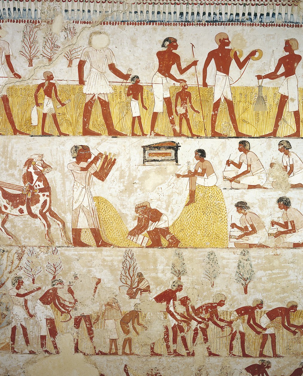 Egypten, Thebe, Luxor, Sheikh 