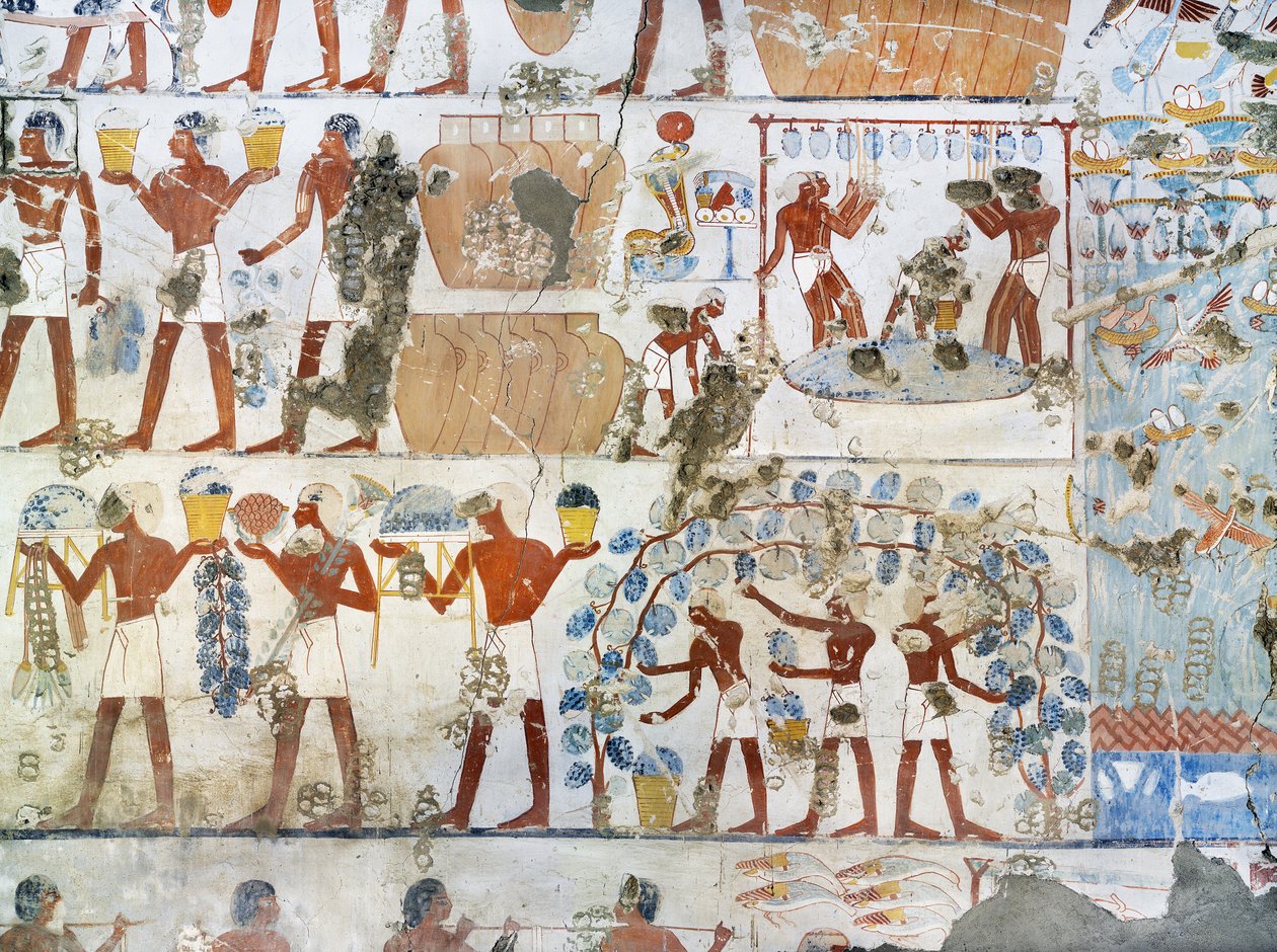 Egypten, Thebe, Luxor, Sheikh 
