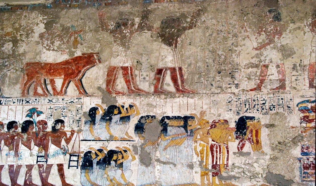 Egyptisk antikvitet: "" bärare av offer och gråt""" Fresk av visiren Ramoses grav (18:e dynastin). Luxor, Västbanken, Adelsdalen Egypten - Forntida Egypten: erbjuder bärare och sörjande. Fresk från Vizier Ramoses grav (18:e D av Egyptian 18th Dynasty