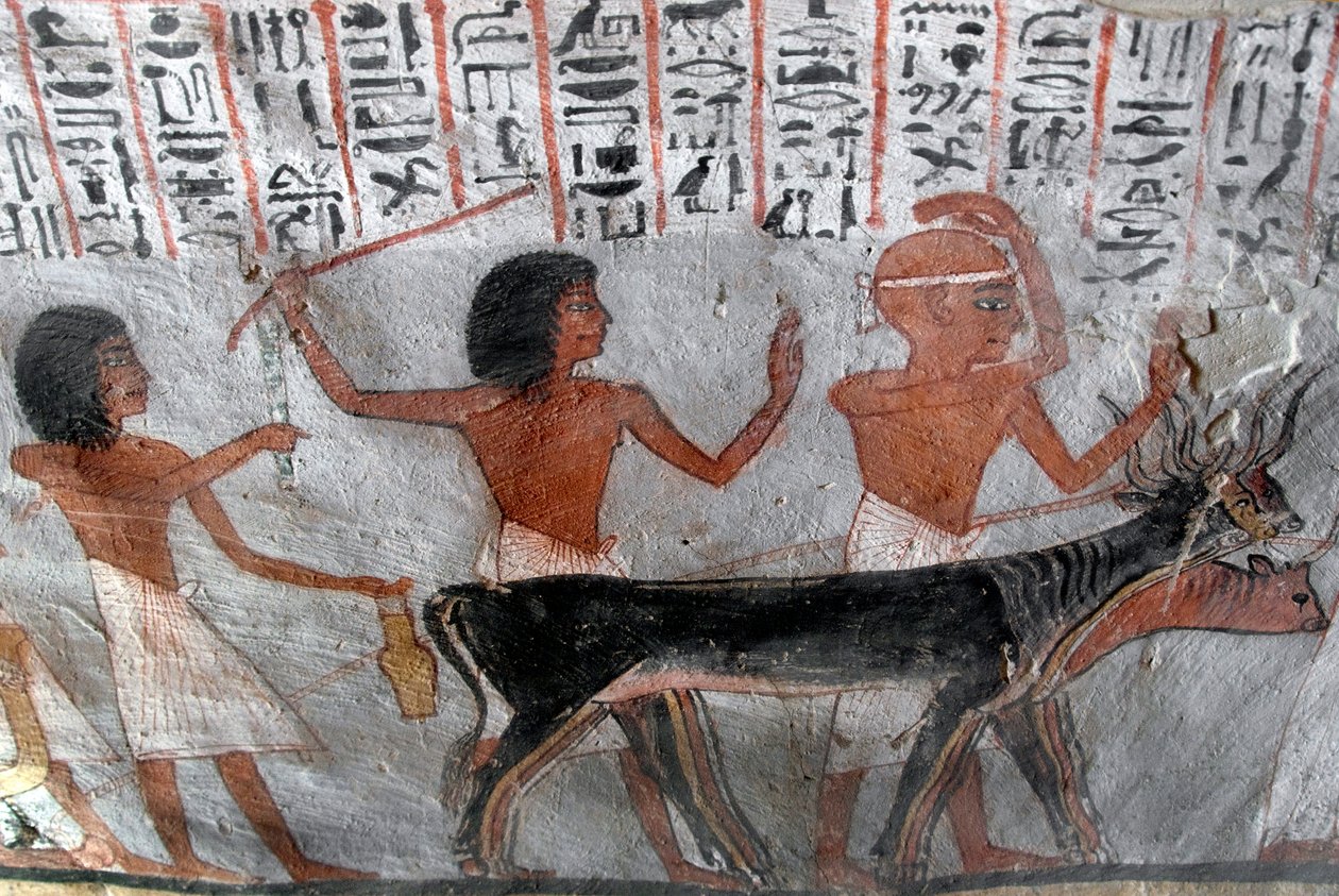 Egyptisk antikvitet: karaktärer som leder betailhuvudena. Målning av Roys grav (TT255). 18:e dynasti. Från västbanken av Luxor, Egypten av Egyptian 18th Dynasty