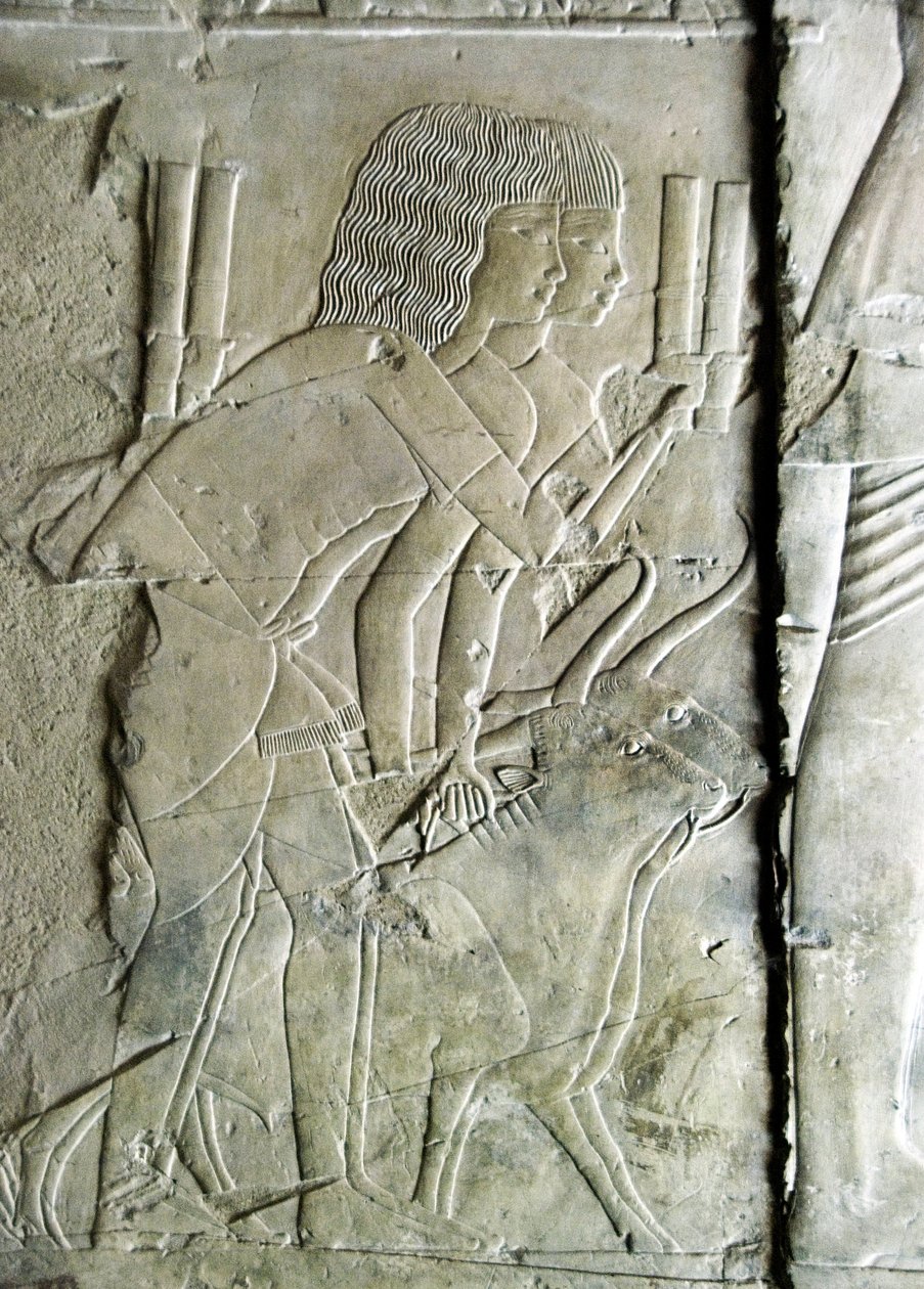 Egyptisk antikvitet: ansluter från graven av Kha em Het (Khaemhat) vindsinspektör och skrivare till Amenophis III:s hov (TT57) som representerar män som erbjuder bethuvuden som offer. 18:e dynasti. 1530-1290 f.Kr. Vallee des Nobles. Luxor, Västbanken, t.ex av Egyptian 18th Dynasty