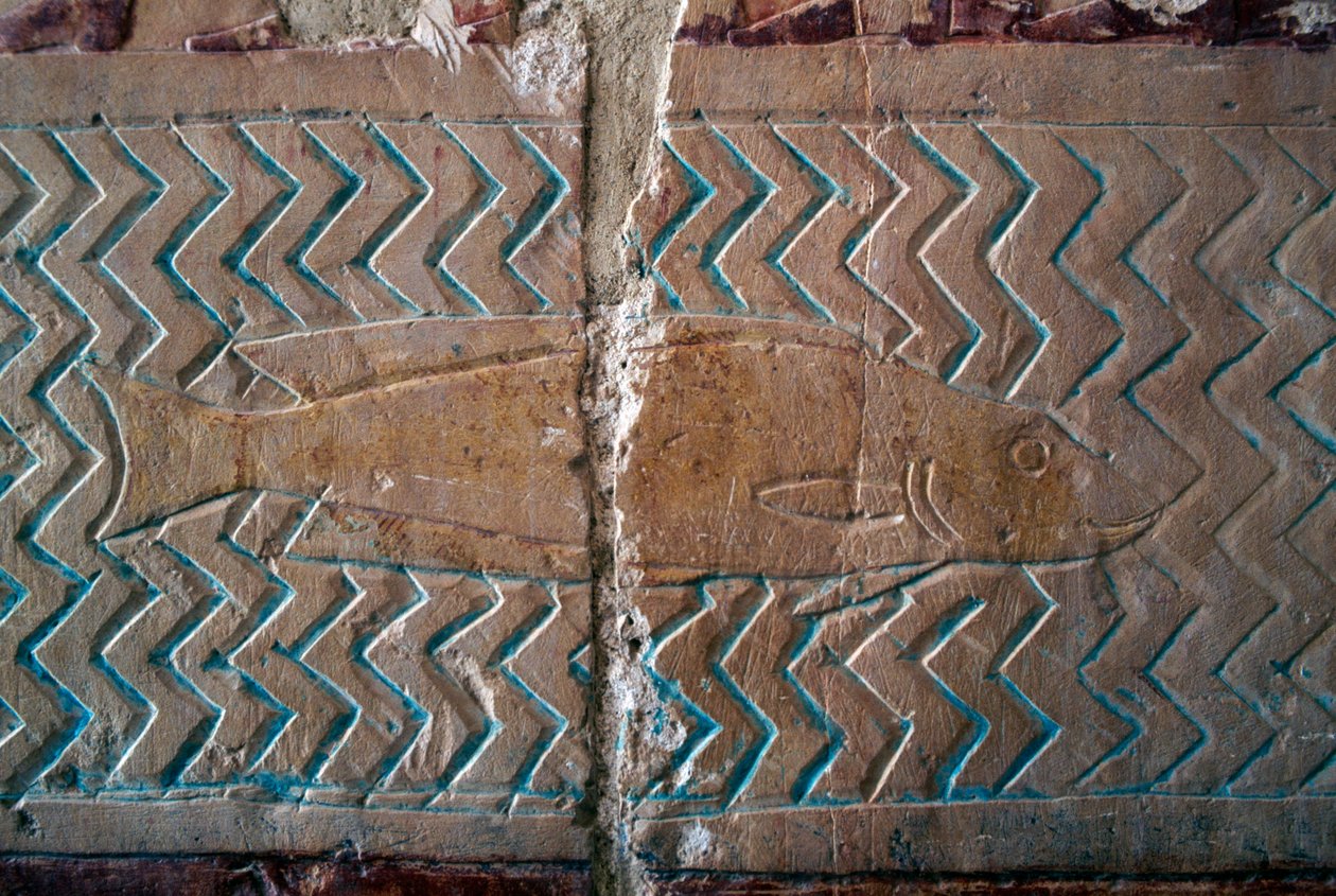 Fisk, scener från Puntriket, södra väggen i den centrala kolonnaden, Hatshepsuts dödstempel, Deir el-Bahari, Theban Necropolis (UNESCO:s världsarvslista av Egyptian 18th Dynasty