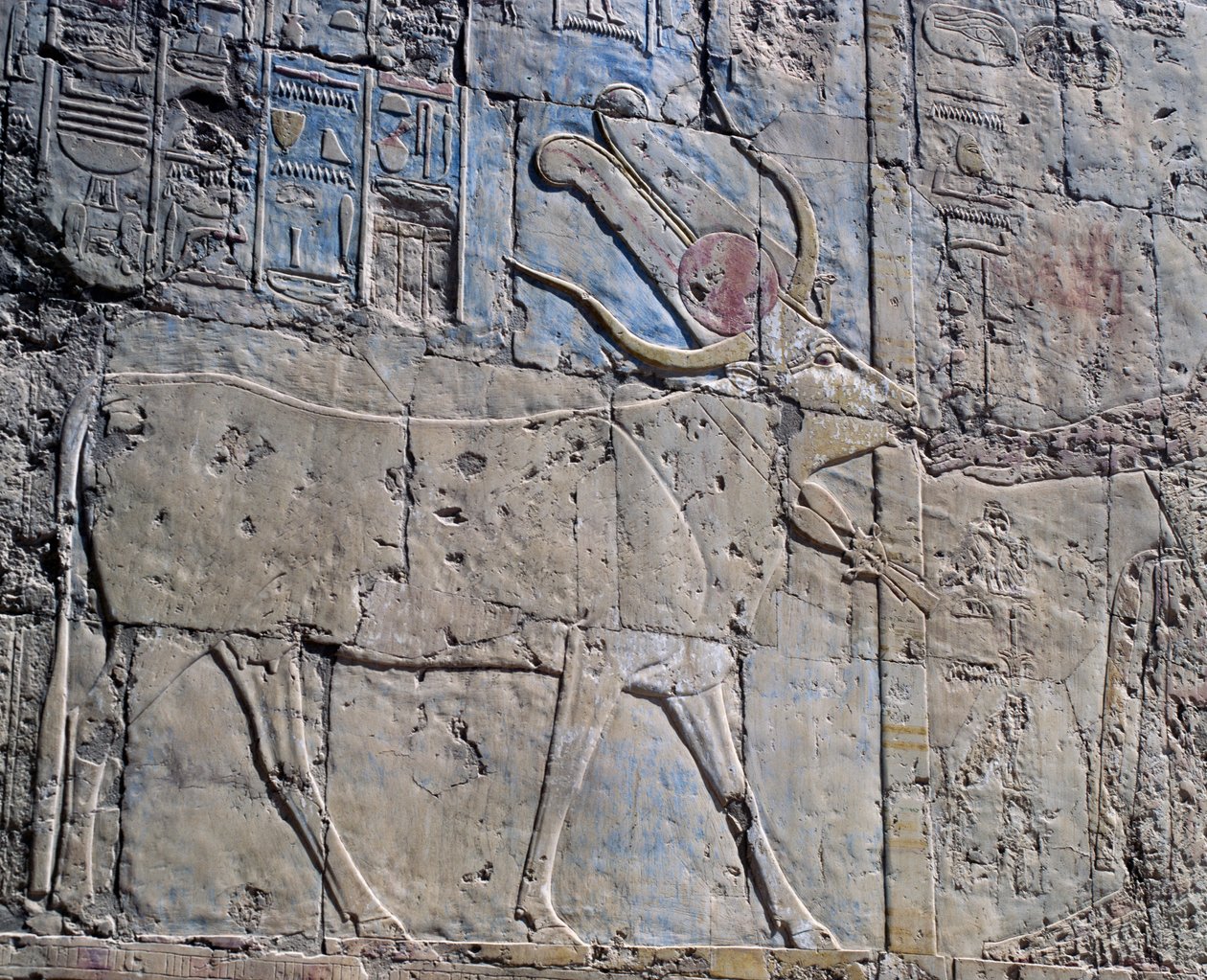 Gudinnan Hathor i form av en helig ko, målad relief, Hathors kapell, drottning Hatshepsuts dödstempel, även känt som Djeser-Djeseru, Deir el-Bahri, Thebe (Unescos världsarvslista av Egyptian 18th Dynasty