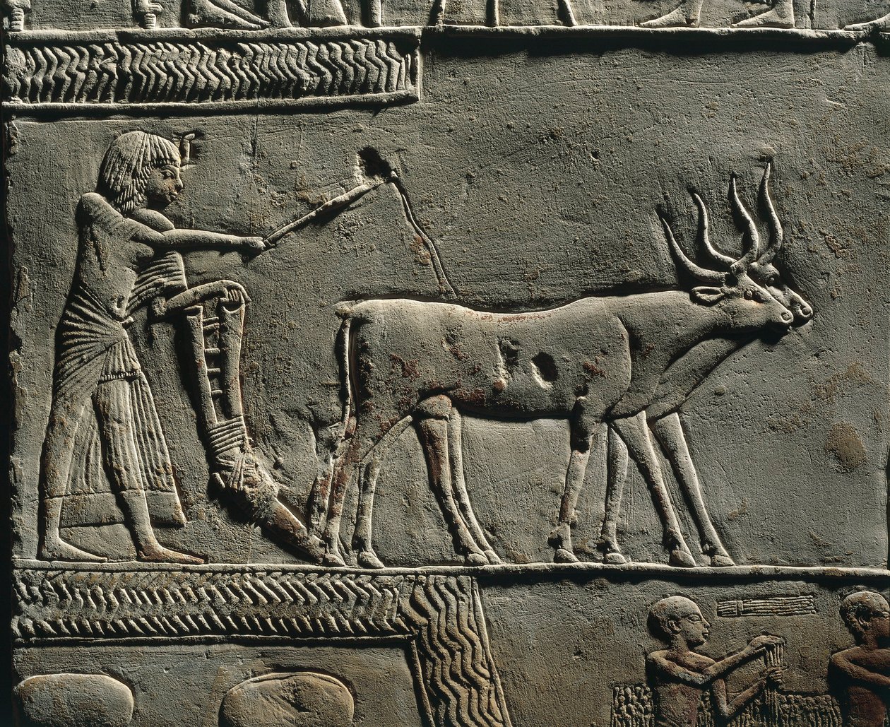 Horemheb plöjer mark på Iarus fält. Relief från Horemhebs grav i Saqqara, detalj. av Egyptian 18th Dynasty