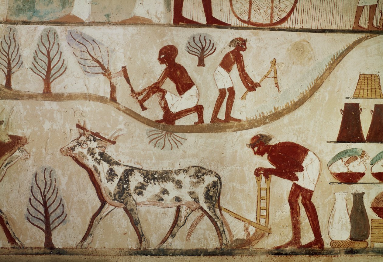 Arbeten på fältet (väggmålning) av Egyptian 18th Dynasty
