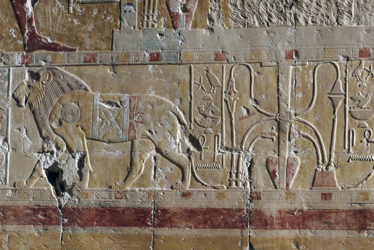 Lejon, relief, mortuarium Hatshepsuts tempel, Deir el-Bahari, Theban Necropolis (UNESCO:s världsarvslista) av Egyptian 18th Dynasty