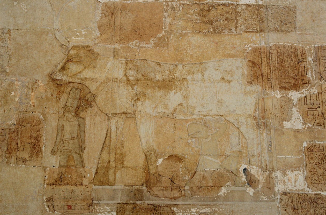 Drottning Hatshepsuts dödstempel: Hathor-kapellet, gudinnan i sin bovina form, med krona, matas av Hatshepsut (fotografi) av Egyptian 18th Dynasty