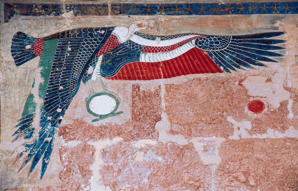 Målad relief föreställande gam från Övre Egypten, Hatshepsuts dödstempel, Deir el-Bahari, Luxor, Thebe (Unescos världsarvslista) av Egyptian 18th Dynasty