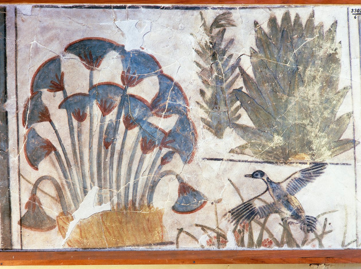 Målning föreställande en anka mellan växter, från Akhenatons palats, El-Awara, Egypten av Egyptian 18th Dynasty