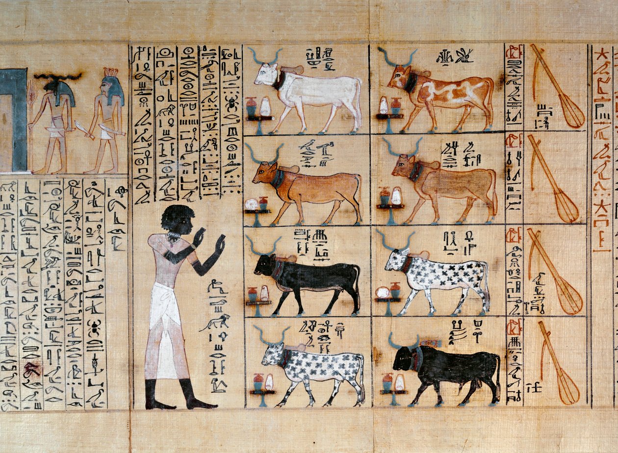 Papyrus föreställande oxar, från Maiherperis dödsbok av Egyptian 18th Dynasty