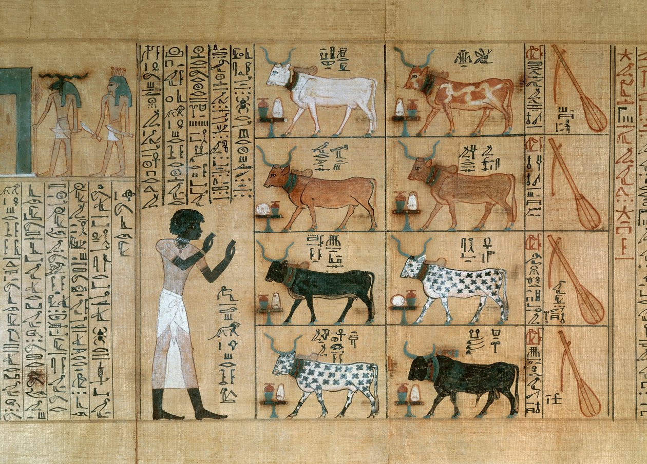 Papyrus med avbildning av oxar, från Maiherperis dödbok av Egyptian 18th Dynasty