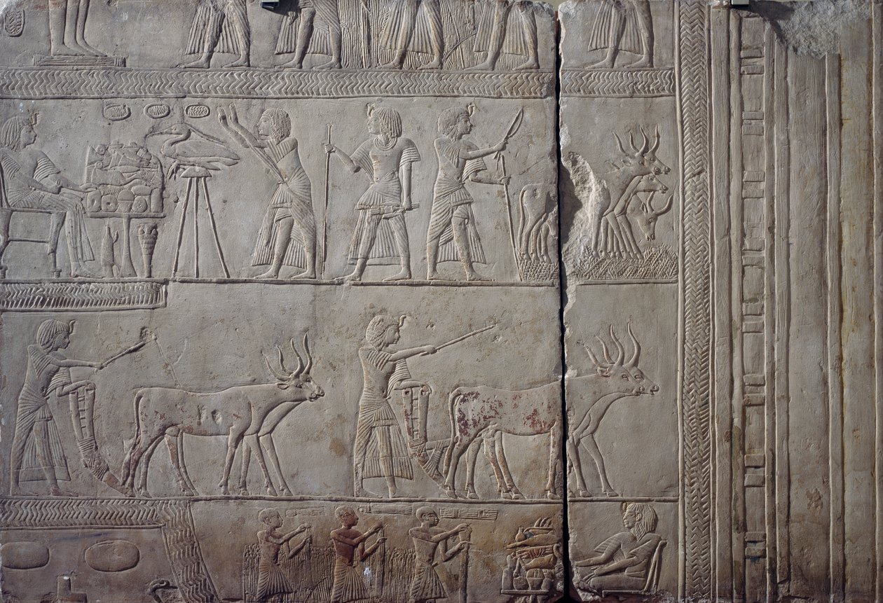 Farao Horemheb, avbildad under jordbruksarbete på fälten i Iaru, tar emot skörd som erbjuds av bönder, väggrelief i kalksten, från Horemhebs memfitiska grav i Saqqara, Egyptisk civilisation, Nya riket, XVIII:e dynastin av Egyptian 18th Dynasty