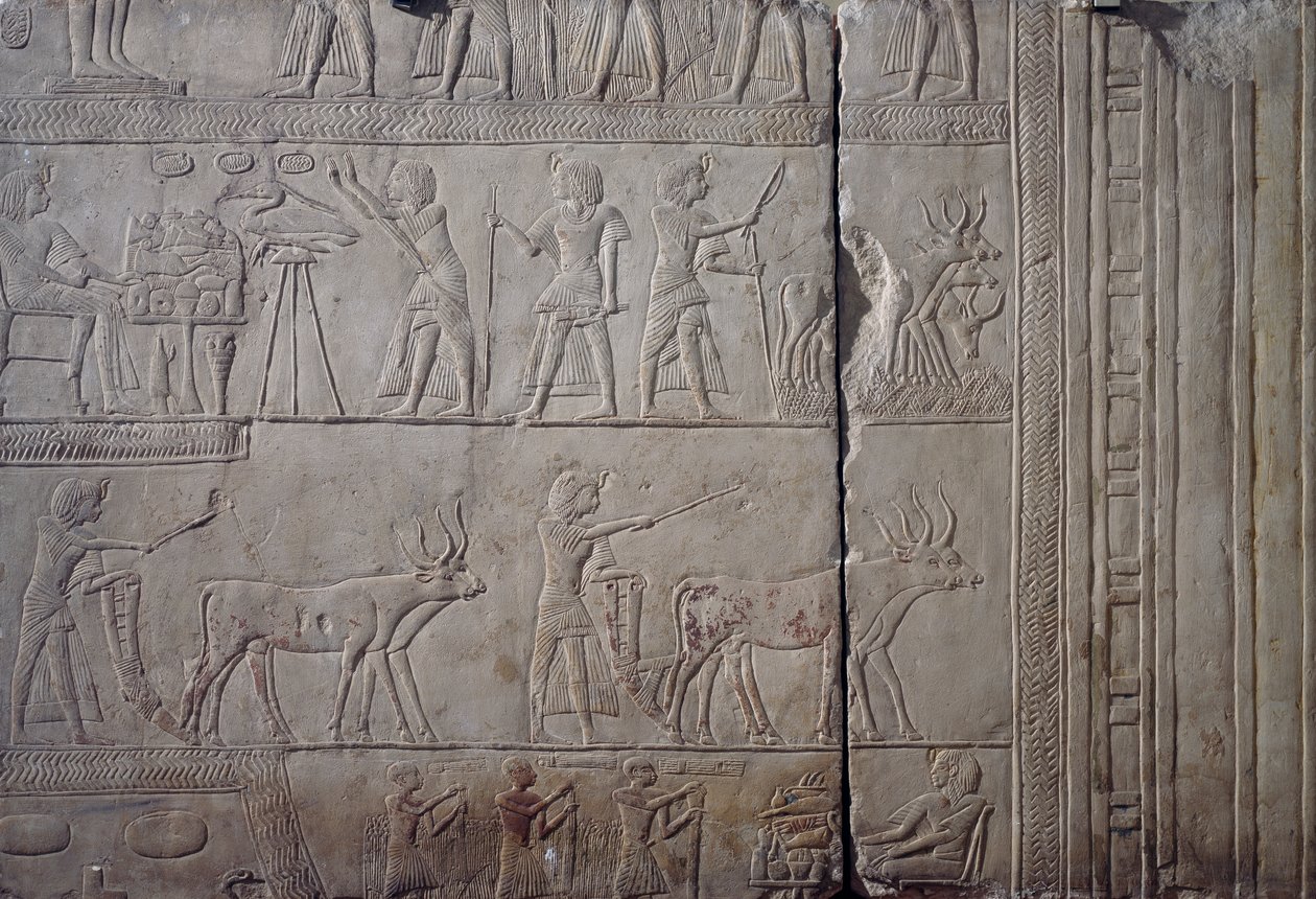 Farao Horemheb, avbildad under jordbruksarbete på fälten i Iaru, tar emot skörd som erbjuds av bönder, väggrelief i kalksten, från Horemhebs memfitiska grav i Saqqara, Egyptisk civilisation, Nya riket, XVIII:e dynastin av Egyptian 18th Dynasty