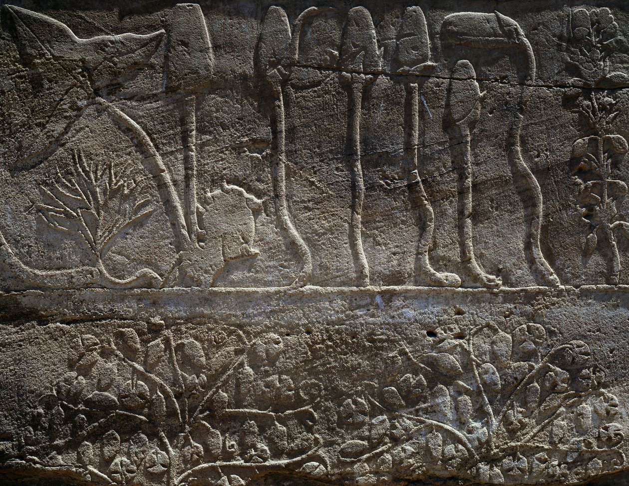 Växter som Thutmosis III tog med sig från sin expedition i Syrien 1465 f.Kr., detalj av relief, salen känd som den så kallade botaniska trädgården, Amuns tempel, Karnaks tempelkomplex, Egyptiska civilisationen, Nya riket, XVIII:e dynastin av Egyptian 18th Dynasty