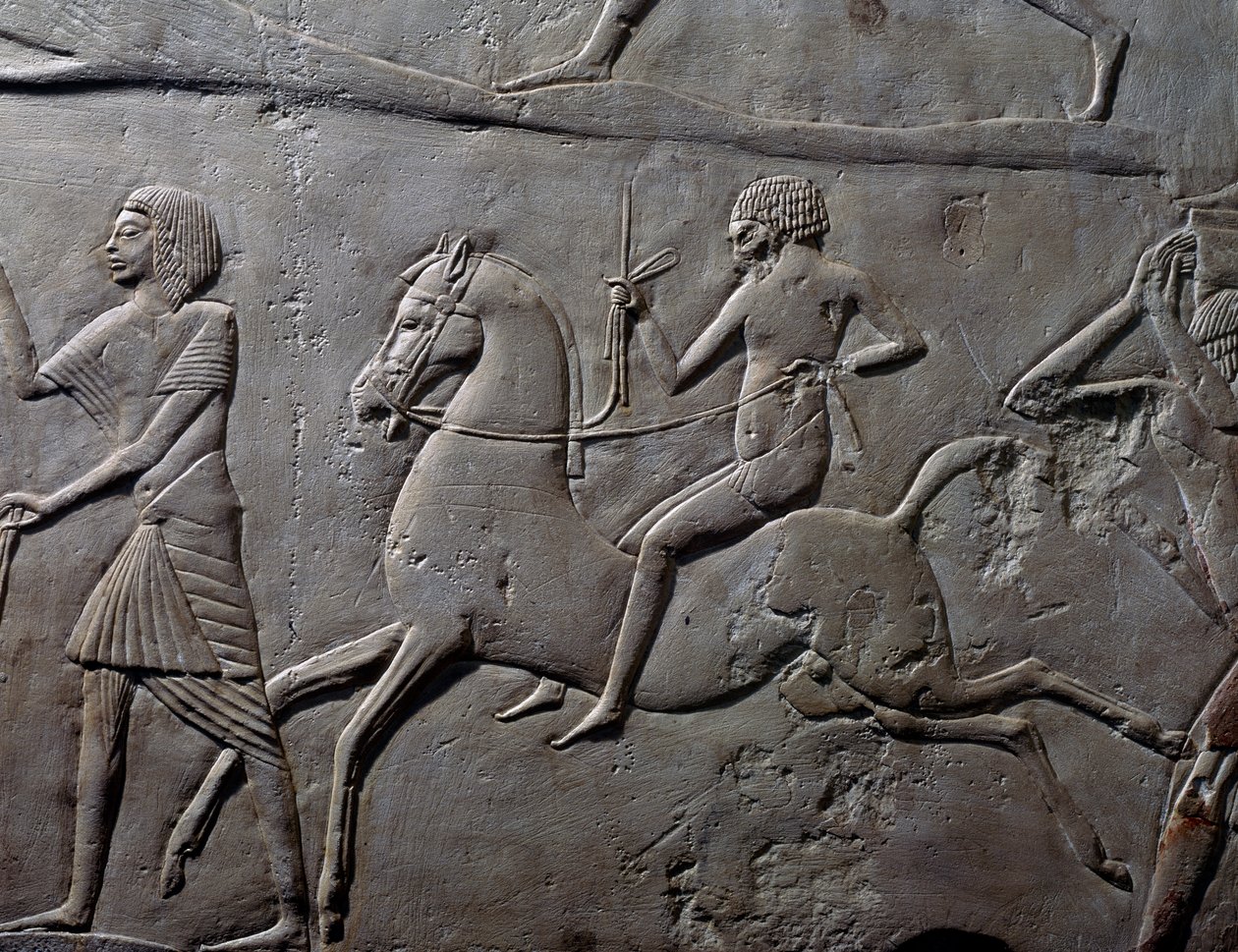 Stafett till häst, detalj av väggrelief föreställande ett militärläger med soldater, kalksten, från Horemhebs memfitiska grav i Saqqara, Egyptisk civilisation, Nya riket, XVIII:e dynastin av Egyptian 18th Dynasty