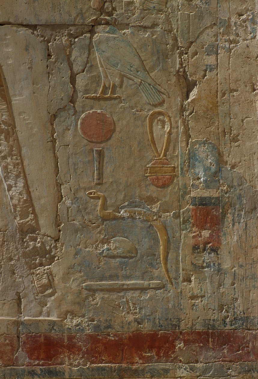 Relief föreställande Horus, gudinnan Hathors kapell, från Hatshepsuts bårhustemplet (ca 1503-1482 f.Kr.) Nya kungariket (målad kalksten) av Egyptian 18th Dynasty