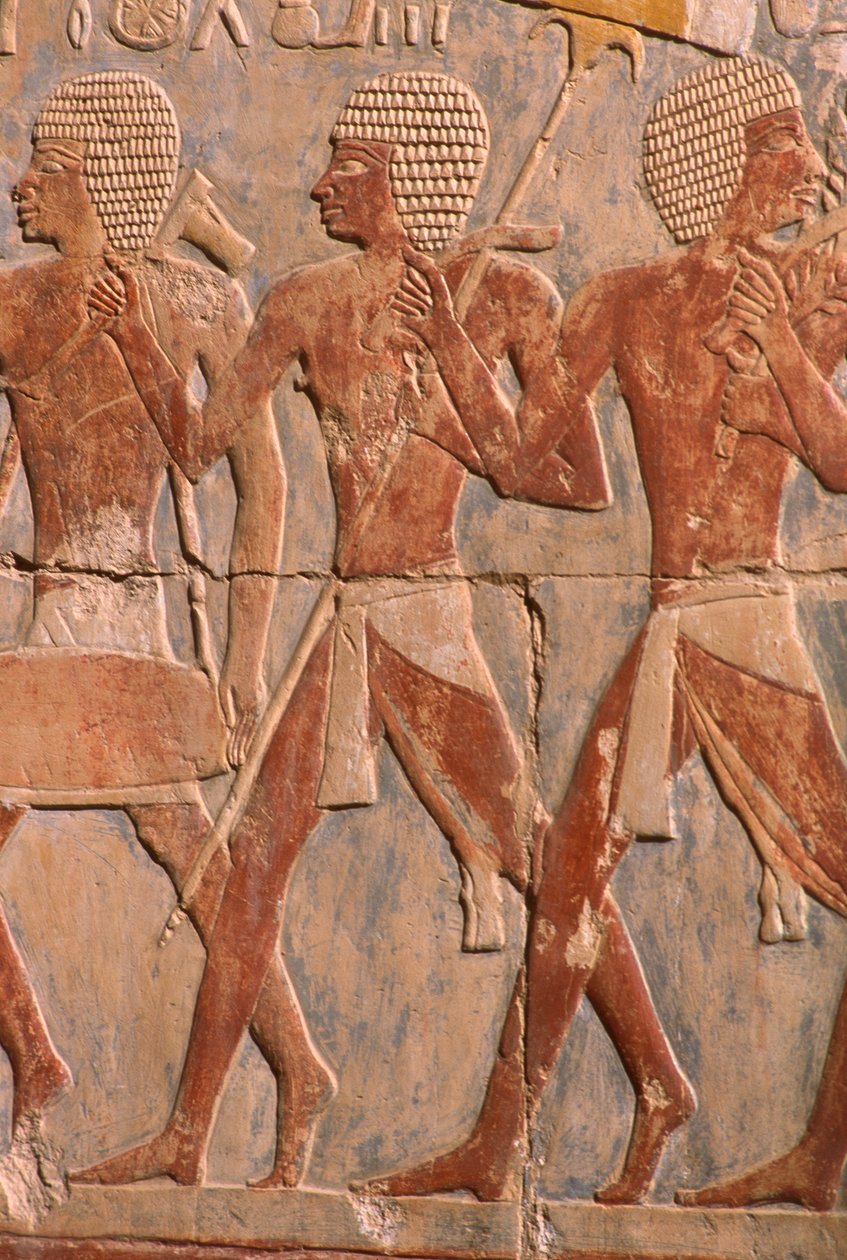 Relief som visar en parad till gudinnan Hathors ära, detalj, från Hatshepsuts bårhustemplet (ca 1503-1482 f.Kr.) New Kingdom (målad kalksten) (se även 382845) av Egyptian 18th Dynasty