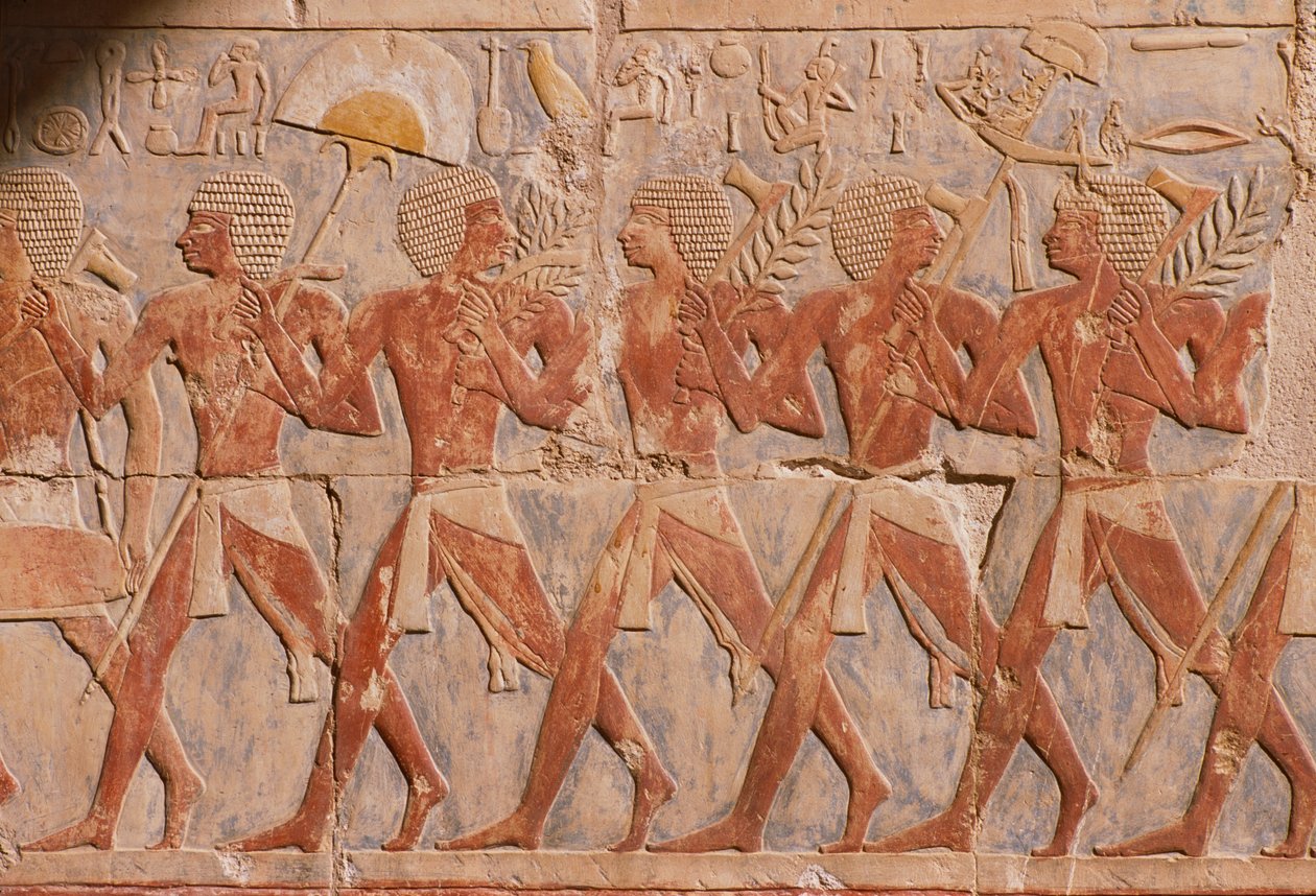 Relief som visar en parad till gudinnan Hathors ära, från Hatshepsuts bårhustemplet (ca 1503-1482 f.Kr.) New Kingdom (målad kalksten) (se även 226168) av Egyptian 18th Dynasty