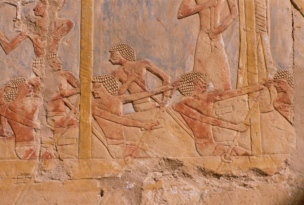 Relief föreställande män som ror på en båt, vägg dekorerad för att hedra gudinnan Hathor, detalj, från Hatshepsuts bårhustemplet (ca 1503-1482 f.Kr.) Nya kungariket (målad kalksten) av Egyptian 18th Dynasty
