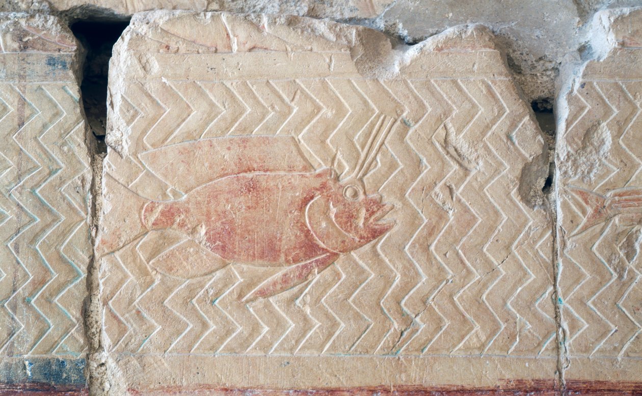 Relief av en fisk, Hatshepsuts dödstempel, Thebe (relief) av Egyptian 18th Dynasty