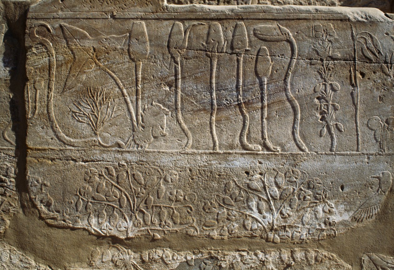 Relief av djur och växter som Thutmosis III offrade till Amon när han återvände från sitt fälttåg i Syrien 1465 f.Kr., Botaniska trädgårdens rum, Karnak, Theban Necropolis, Luxor, Egypten, Nya riket, XVIII:e dynastin av Egyptian 18th Dynasty