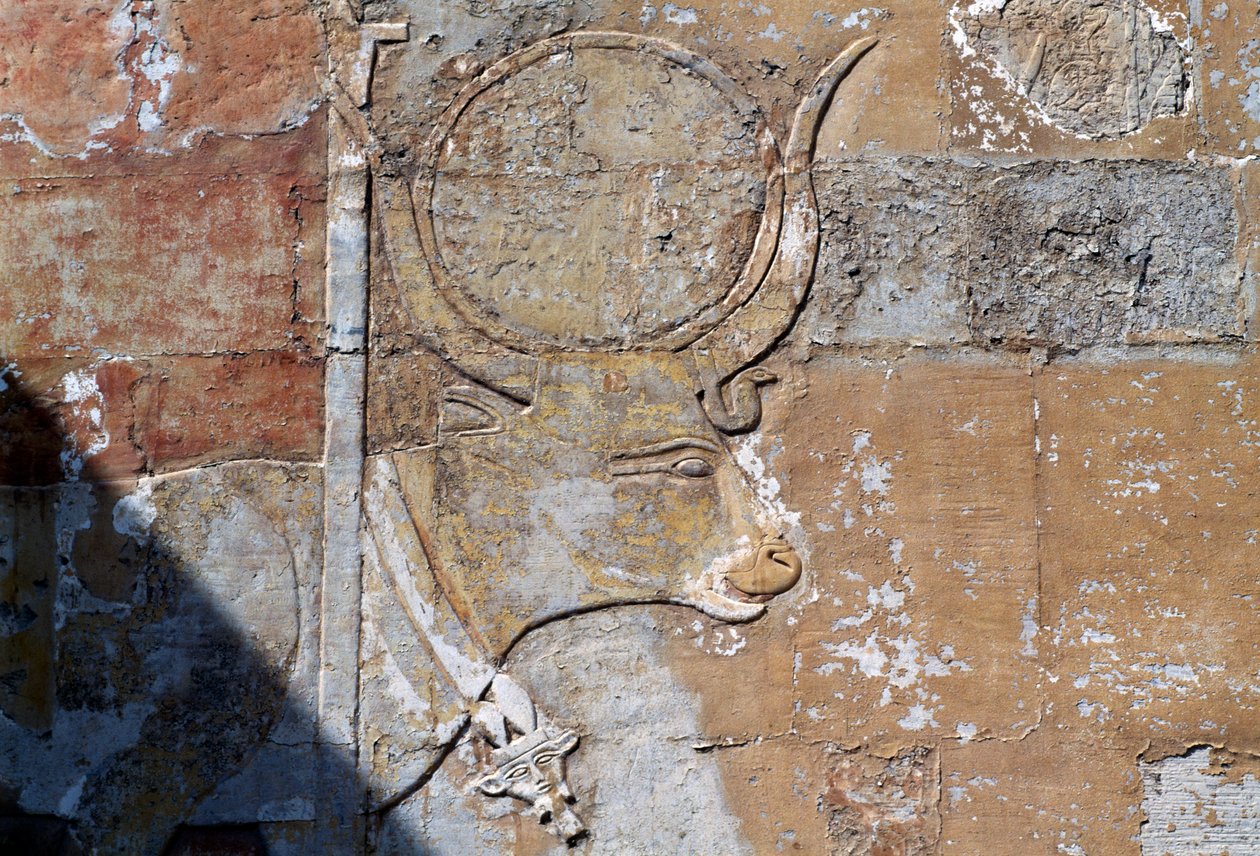 Relief med Hathor som helig ko, Hatshepsuts dödstempel, Deir el-Bahari, Theban Necropolis (UNESCO:s världsarvslista) av Egyptian 18th Dynasty