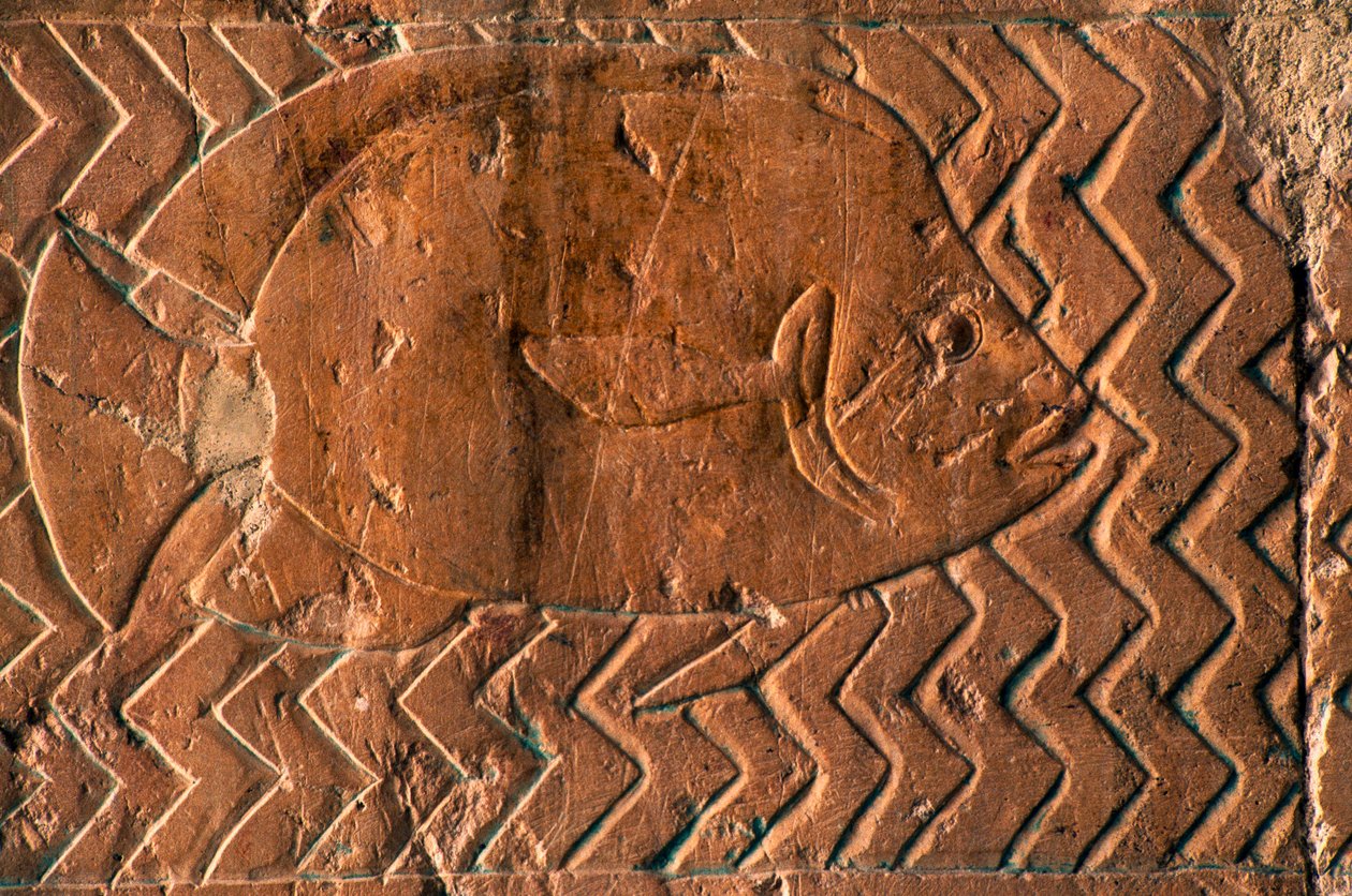 Framställning av fisk, scener från kungariket Punt, södra väggen i den centrala kolonnaden, Hatshepsuts begravningstempel, Deir el-Bahari, Luxor, Thebe (Unescos världsarvslista av Egyptian 18th Dynasty