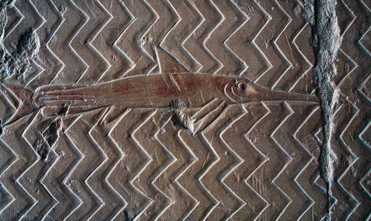 Framställning av fisk, scener från kungariket Punt, södra väggen i den centrala kolonnaden, Hatshepsuts begravningstempel, Deir el-Bahari, Luxor, Thebe (Unescos världsarvslista av Egyptian 18th Dynasty