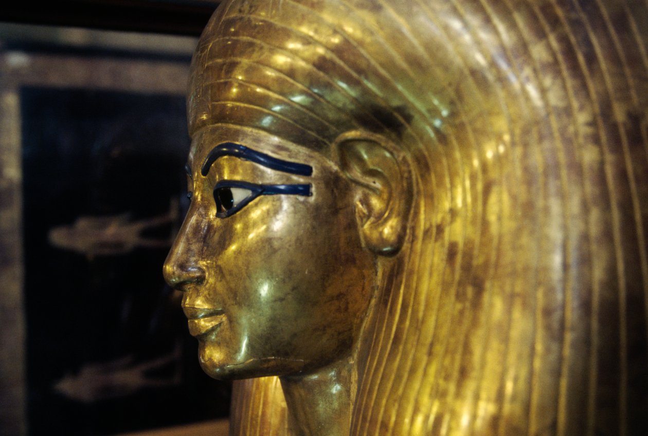 Tjuyas sarkofag, från Yuya Tjuyas grav, Konungarnas dal, Egypten, Egyptisk civilisation, Nya riket, XVIII:e dynastin, Detalj av Egyptian 18th Dynasty