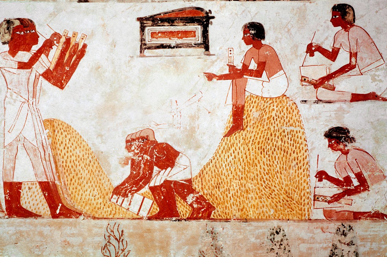 Tomb of Menna: Jordbruksscen: samlar in spannmål övervakad av en skrivare som registrerar skörden (fresk) av Egyptian 18th Dynasty