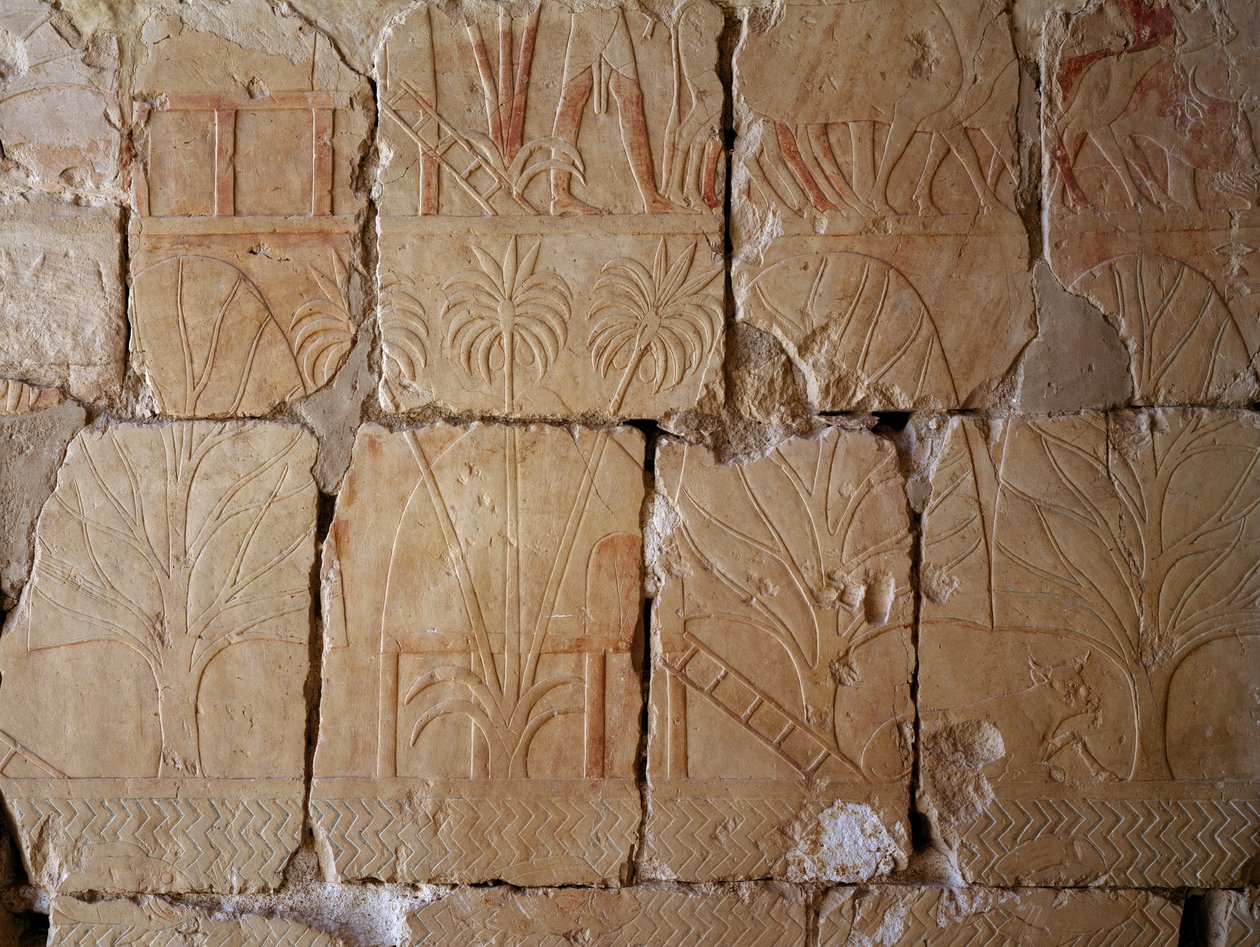 Vegetation, detalj av scen som skildrar expeditionen till landet Punt, målad relief, Kolonnaden i Punt, Hatshepsuts dödstempel, Deir el-Bahari, Theban Necropolis (Unescos världsarvslista av Egyptian 18th Dynasty