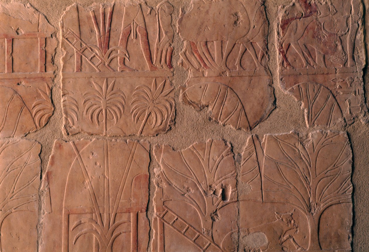 By med hyddor, scener från Puntriket, södra väggen i den centrala kolonnaden, Hatshepsuts dödstempel, Deir el-Bahari, Theban Necropolis (UNESCO:s världsarvslista) av Egyptian 18th Dynasty