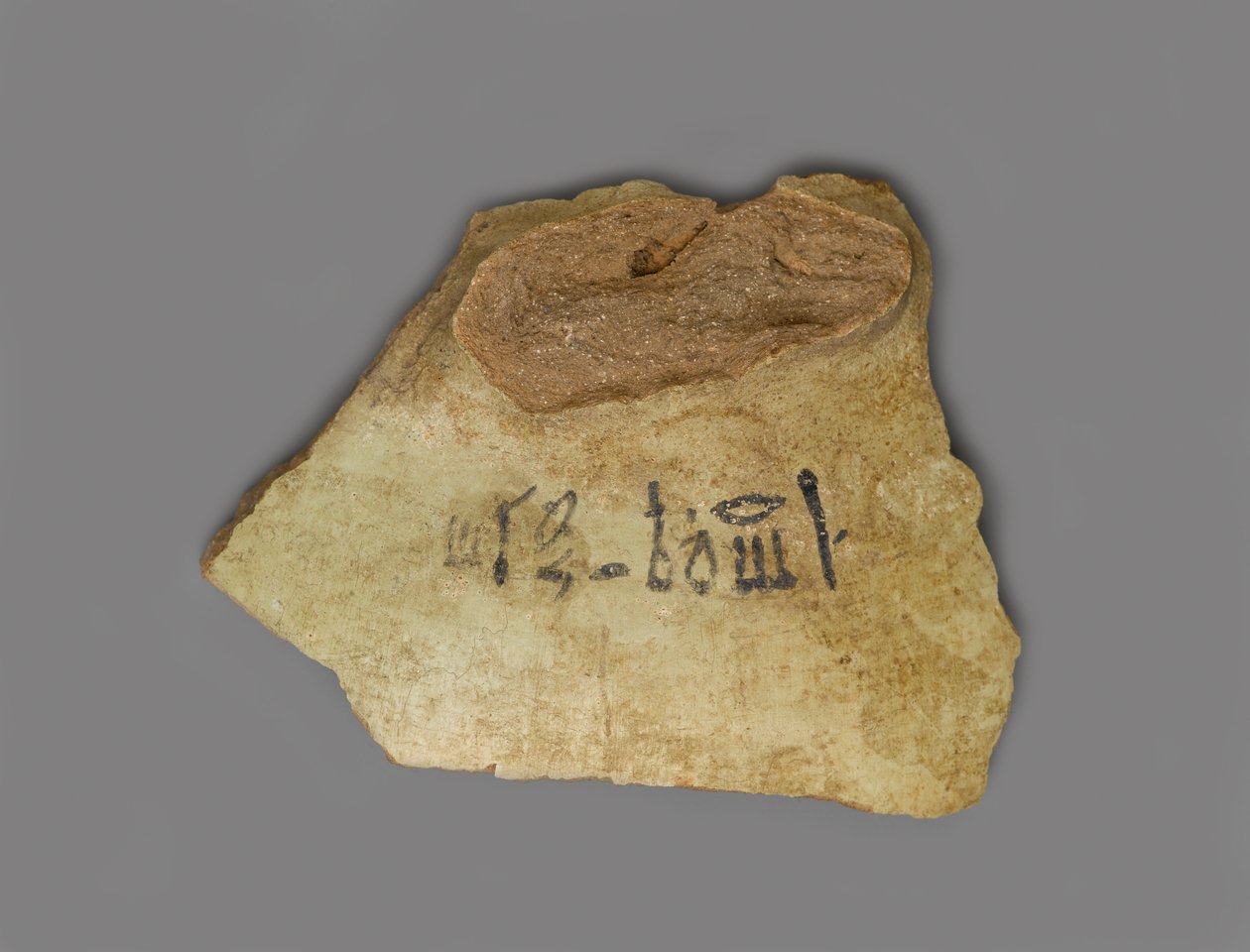 Vinetikett, hittad i Palace of Amenhotep III, Thebe, New Kingdom (terrakotta med pigment) av Egyptian 18th Dynasty