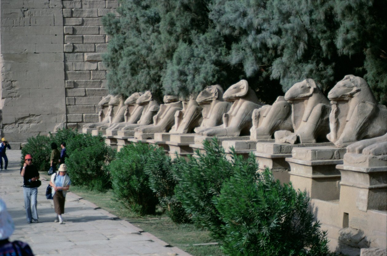 Aveny med ramshövdade sfinxer längs processionsvägen till Amuns stora tempel, Nya kungariket av Egyptian 19th Dynasty