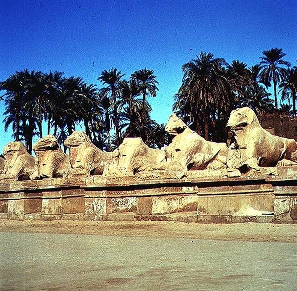 Avenyn av sfinxer med vädurhuvud som kantar processionsvägen till Amuns stora tempel, Nya riket. av Egyptian 19th Dynasty