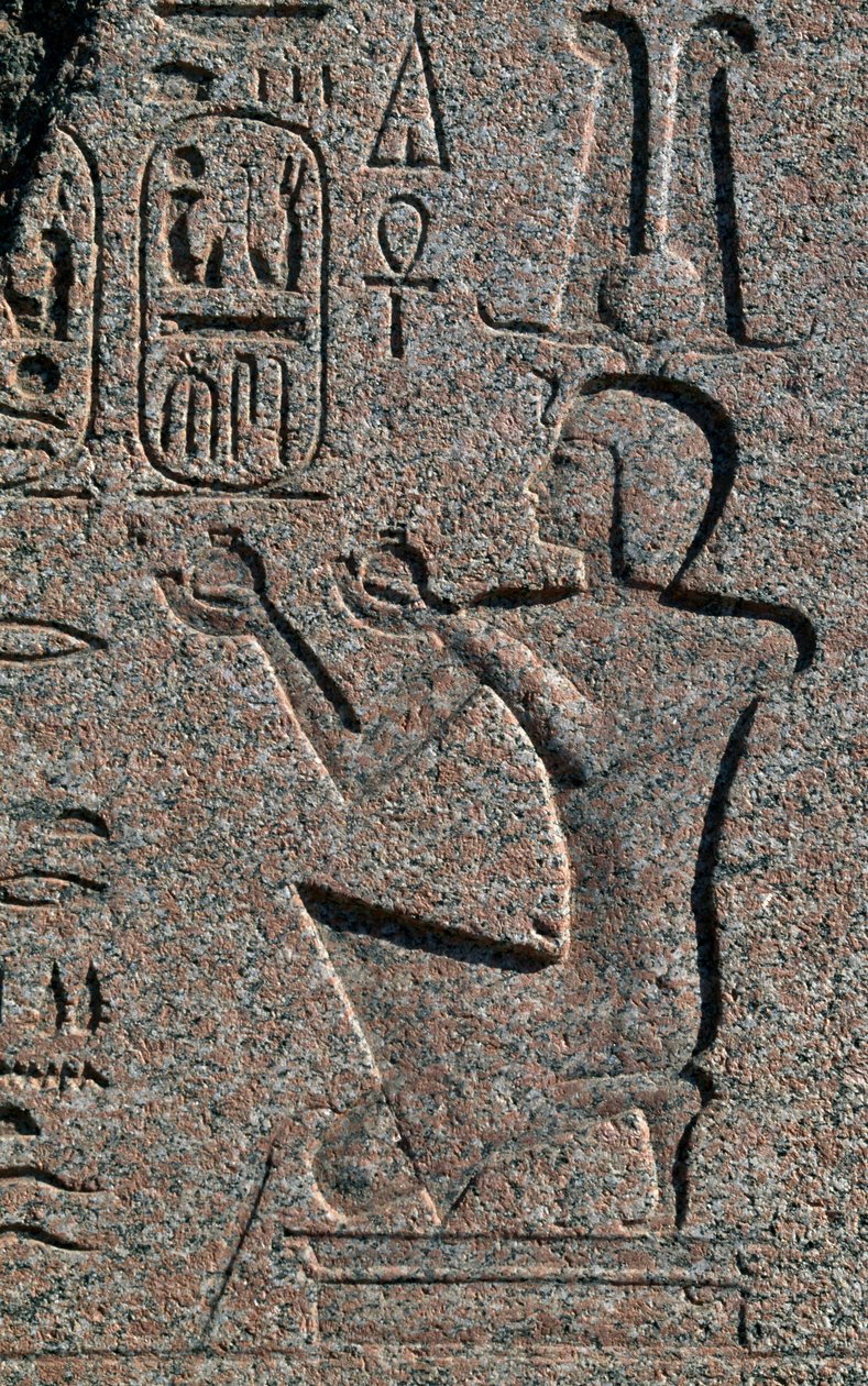 Block med reliefer och inskriptioner av Ramses II, Amuns stora tempel, Tanis, Egypten, Egyptisk civilisation, Nya riket, XIX:e dynastin av Egyptian 19th Dynasty