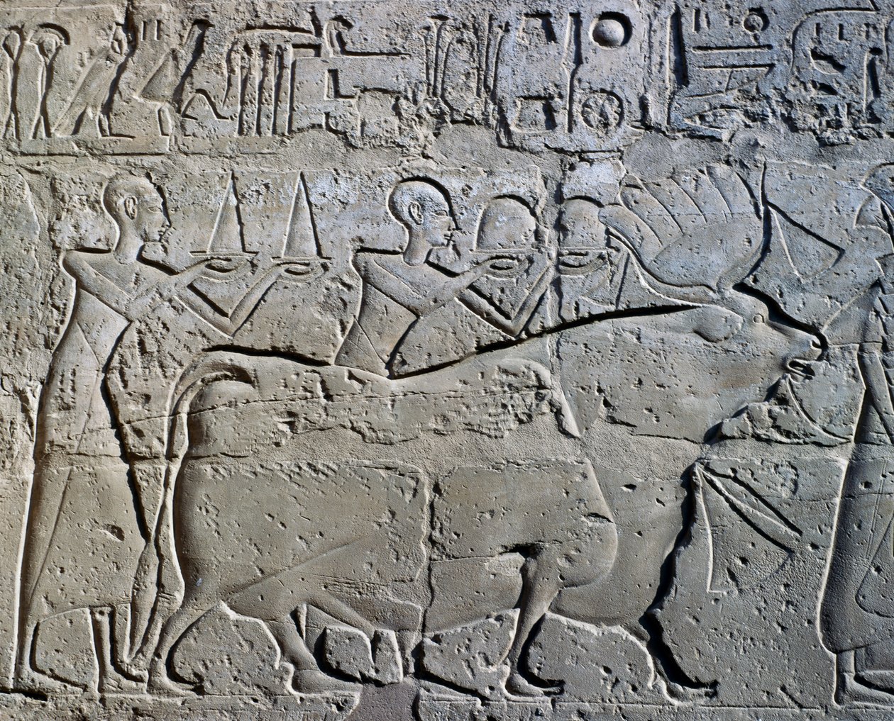 Figurer som symboliserar gruvdistrikt som för sina hyllningar till gud, relief, Ramses II:s innergård, Amuntemplet (Unescos världsarvslista) av Egyptian 19th Dynasty