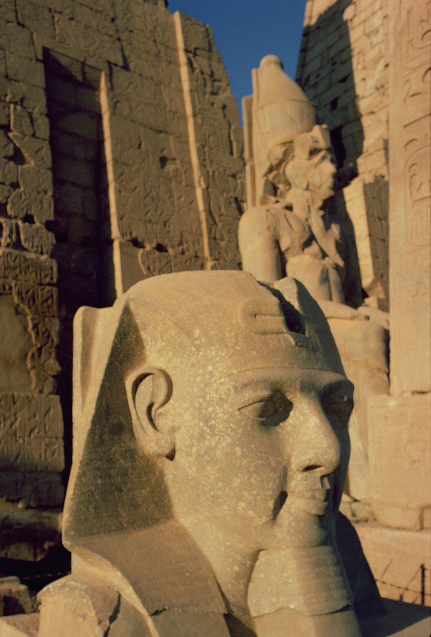Kolossal chef för Ramses II (1298-32 f.Kr.) Nya kungariket av Egyptian 19th Dynasty